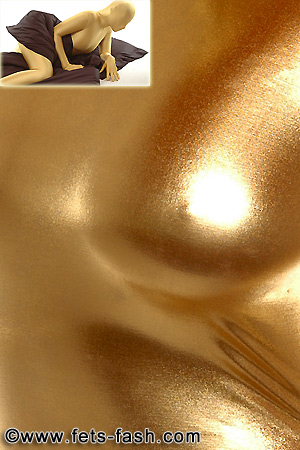 Kissenbezug Shiny Gold